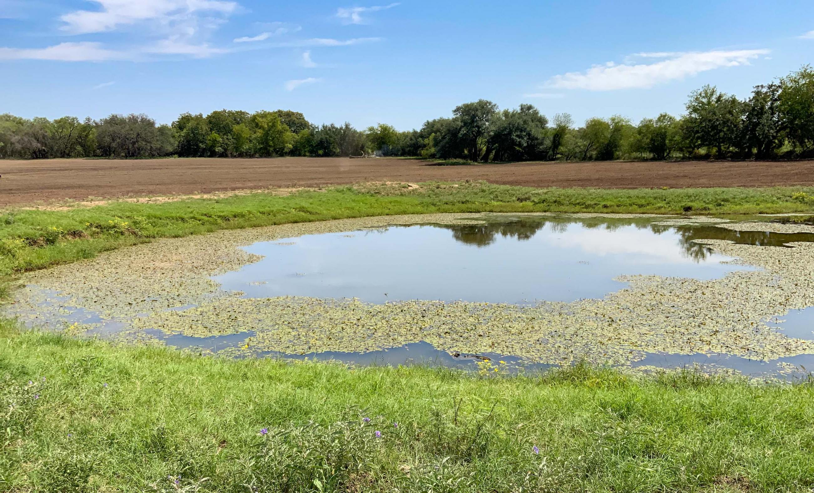 Chappell Creek Ranch Chas S. Middleton